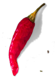 Pimenta